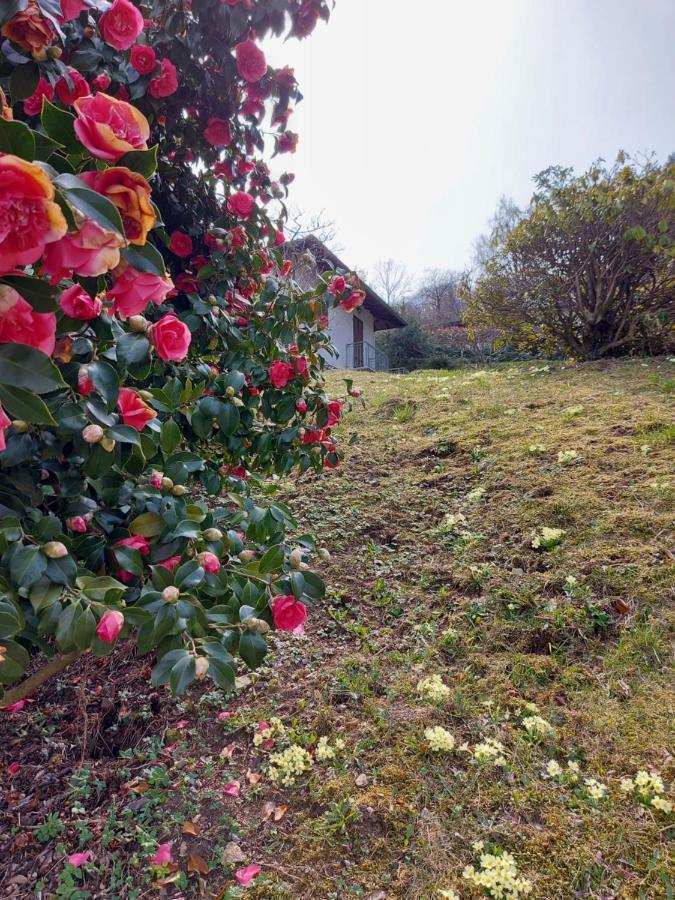 La Casa Delle Camelie Villa Stresa Exterior foto