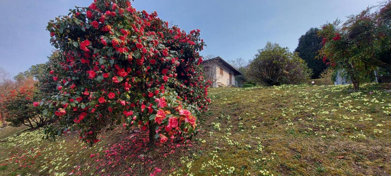 La Casa Delle Camelie Villa Stresa Exterior foto